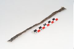 Etikett zu Rohhaut (NHMW-PRAE-126212)